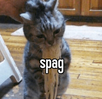 a cat being held by the back of its neck, a mouthful of noodle hanging from it. A text on top simply states, "spag"